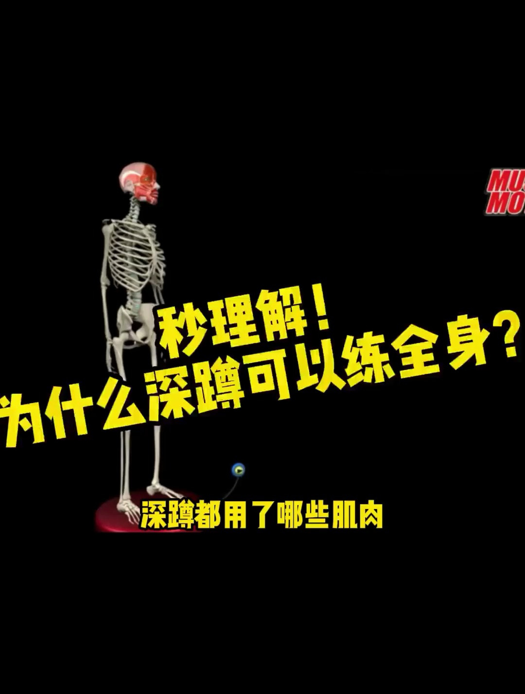 为什么说深蹲能练全身这下理解了吧