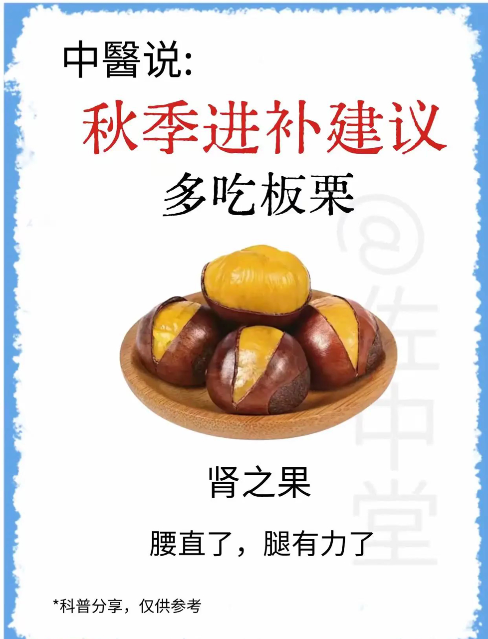 秋冬来一杯!板栗豆浆让你暖胃又补血,秋天的隐藏美食!
