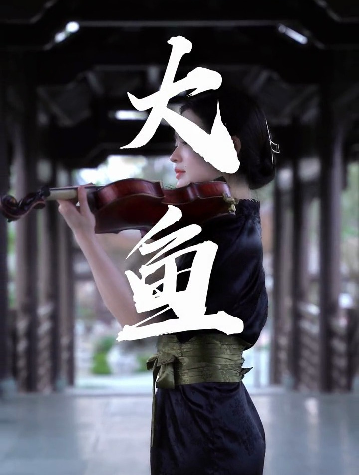 你不妨大胆一些,爱一个人,攀一座山,追一个梦,小提琴《大鱼》