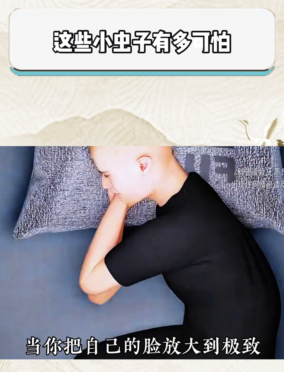 这些小虫子有多吓人？