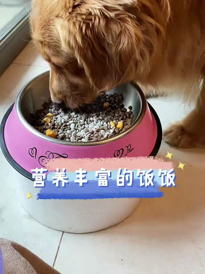 一顿丰盛的晚餐
