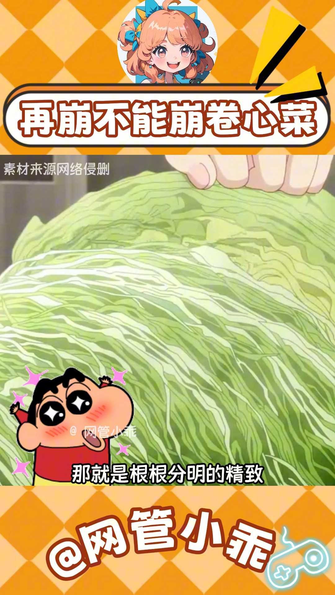 脸可崩,卷心菜不能崩!