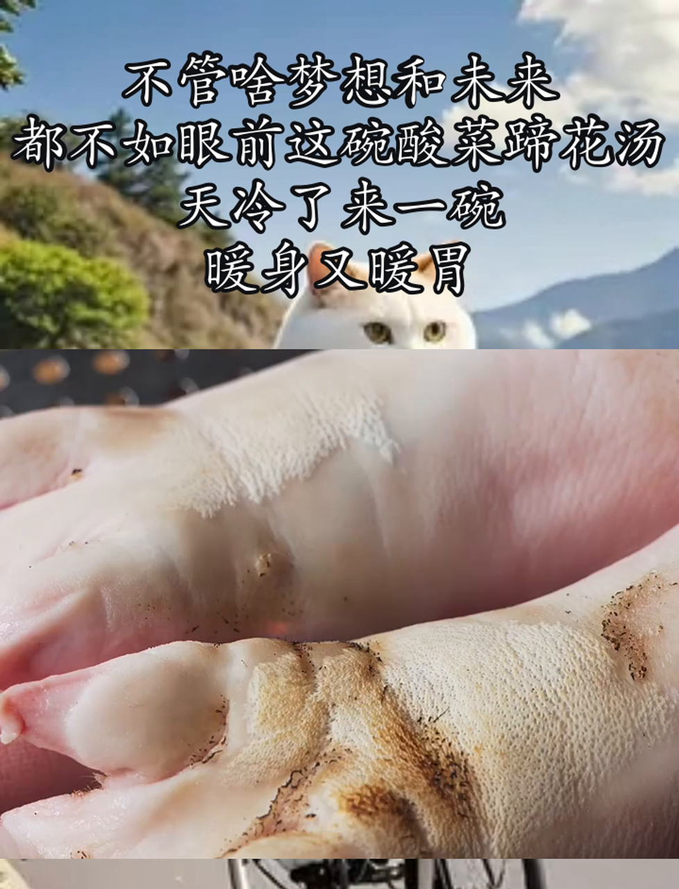 不管啥梦想和未来,都不如眼前这碗酸菜蹄花汤,天冷了来一碗,暖身又暖胃
