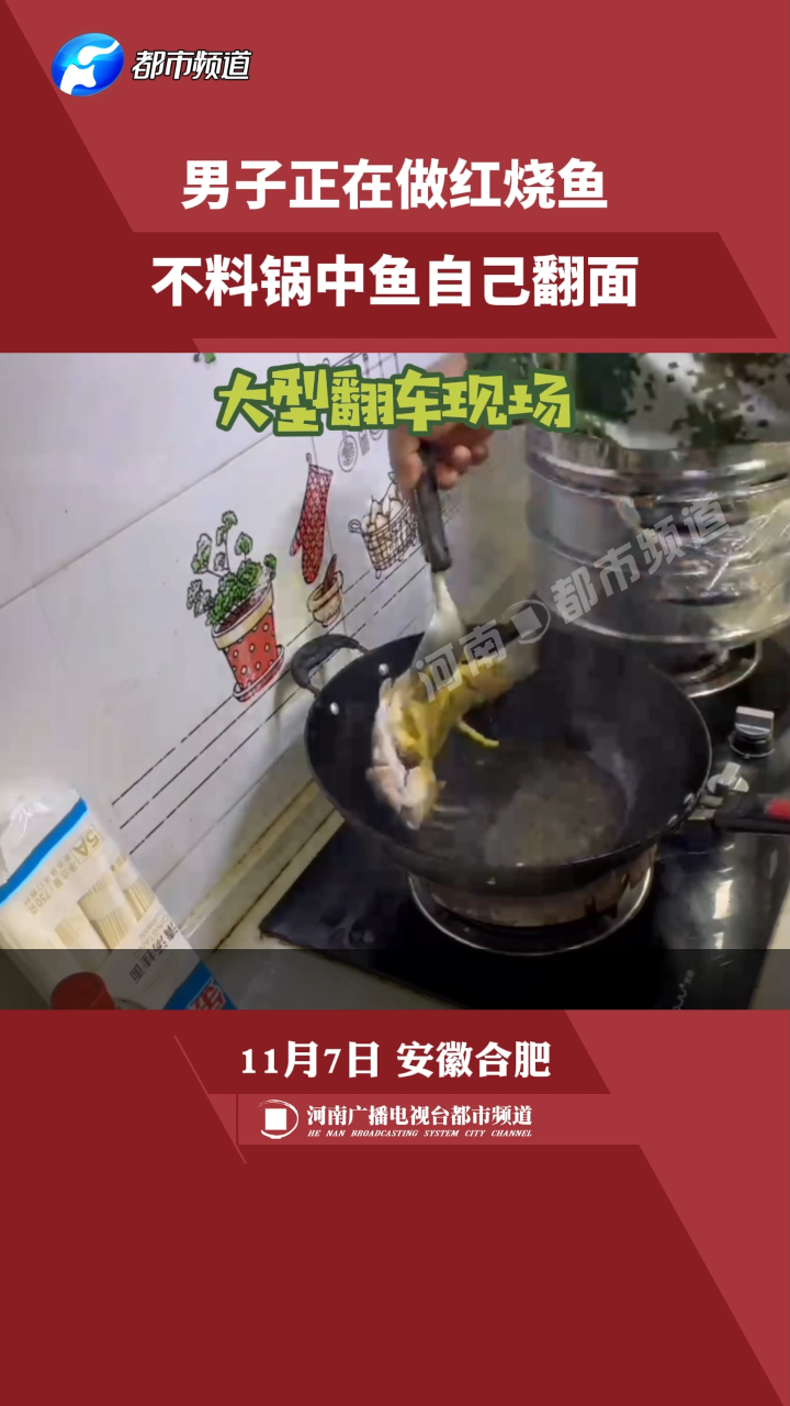 男子做红烧鱼不料锅中鱼自己翻面,男子:当时懵了!