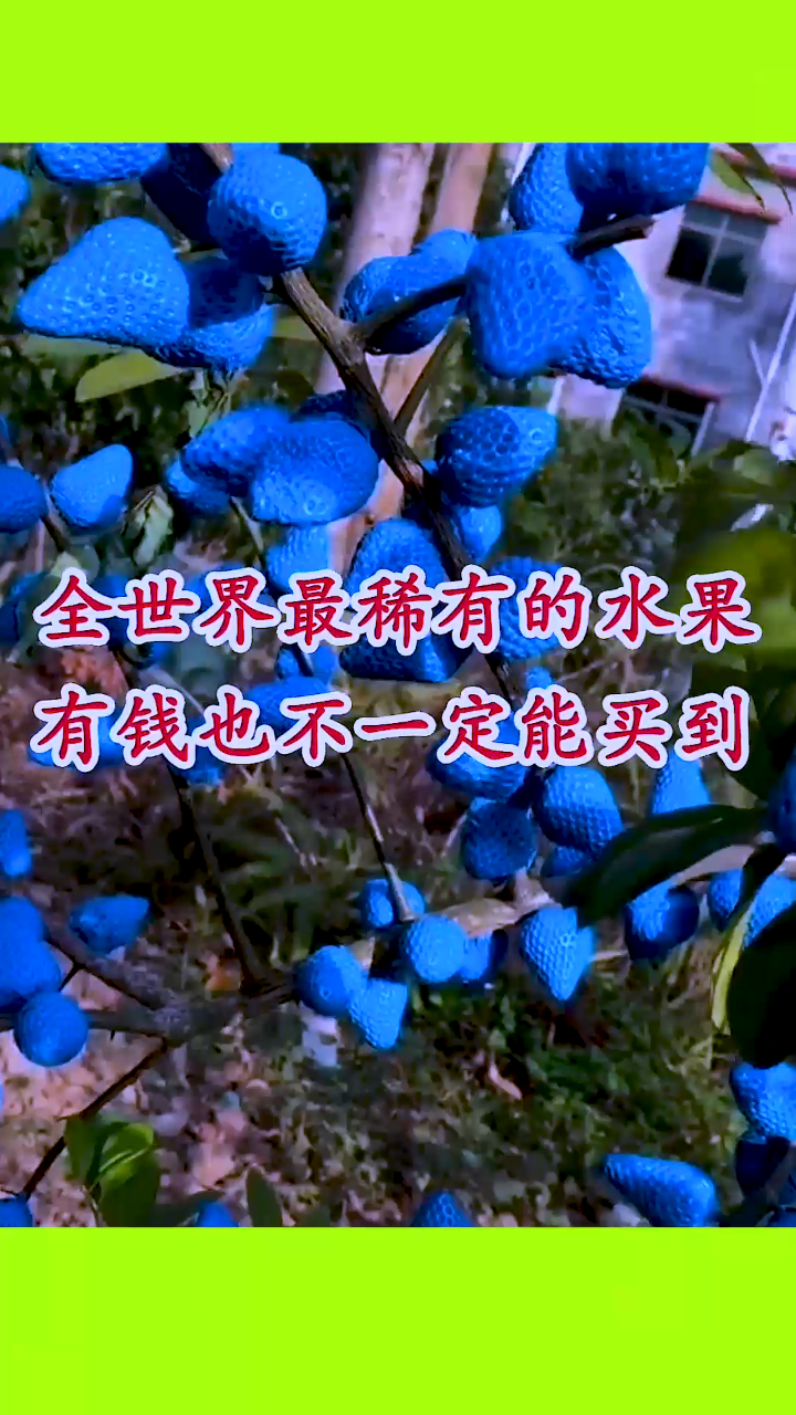 世界上最稀奇的水果!红色的香蕉,蓝色的草莓!
