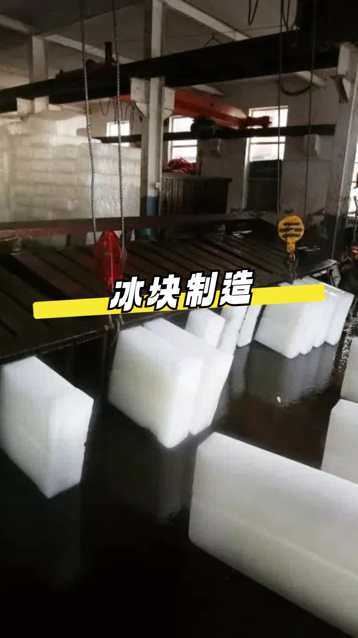 制冰厂一天收入高达27万,为何这么赚钱?冰块是怎么造出来的?