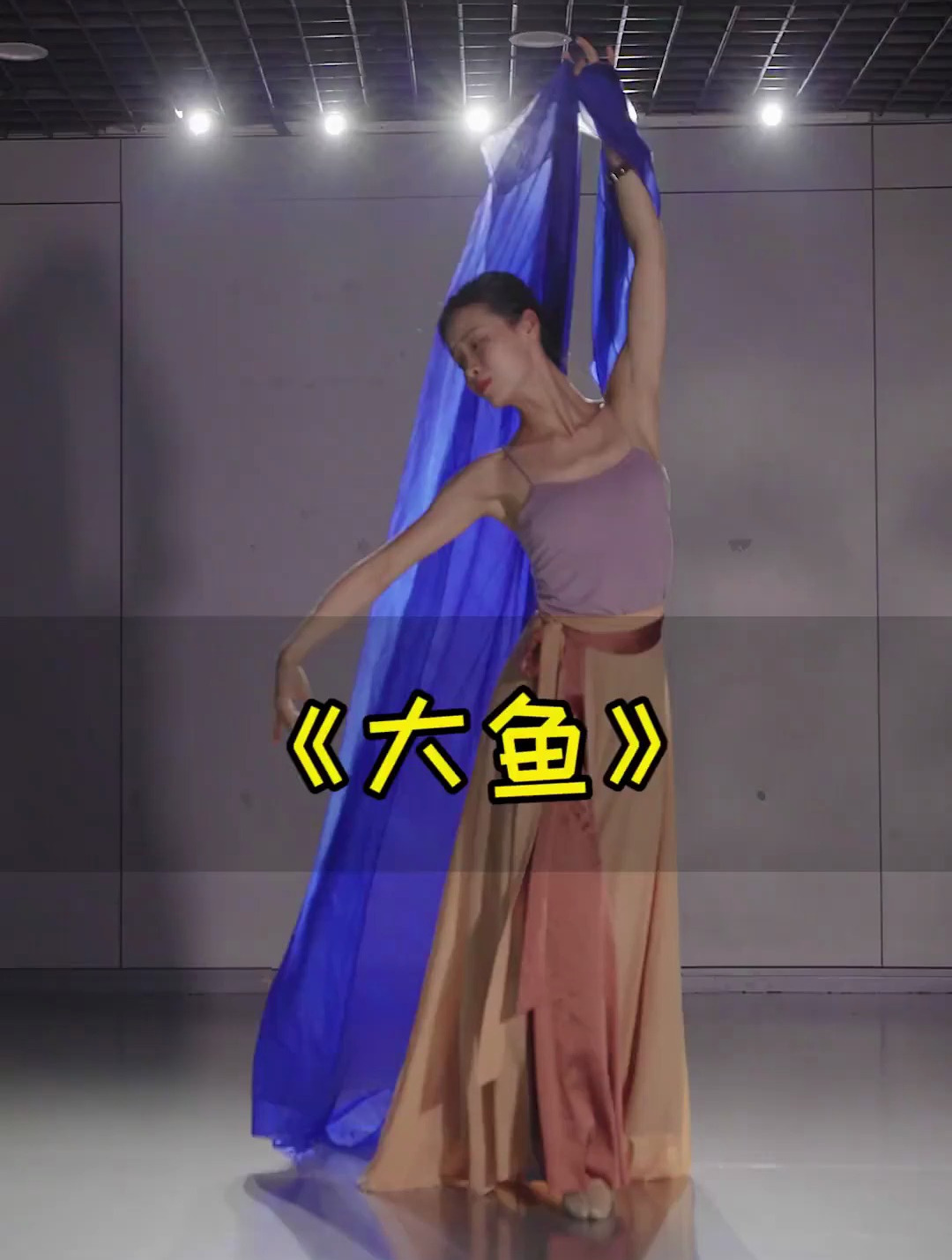 唯美中国舞《大鱼》