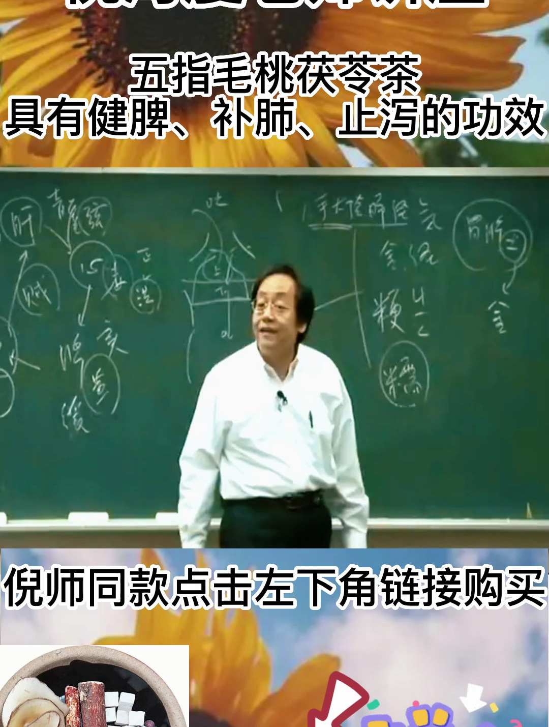 倪老:脾虚,湿气大建议你不妨试试五指毛桃茯苓茶