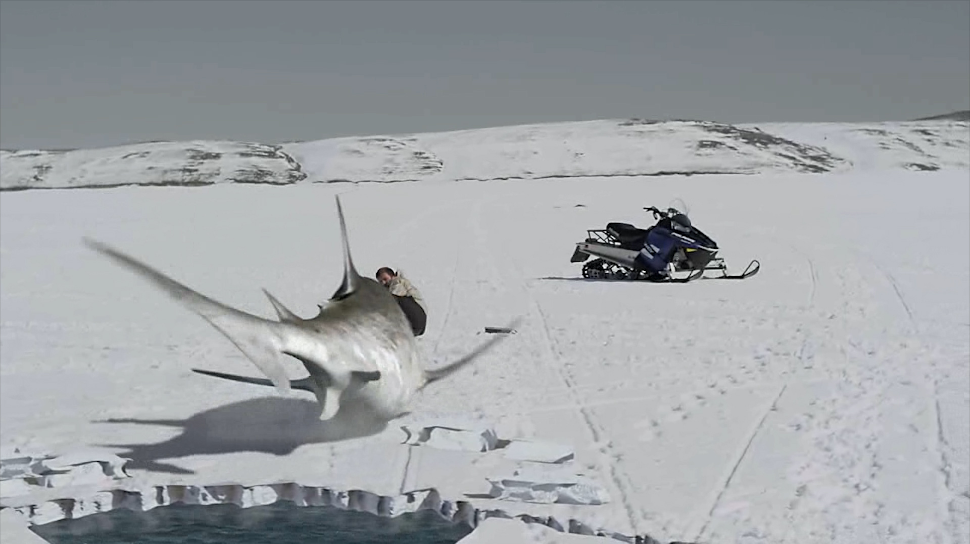 冰川鲨鱼:冰川下出现变异鲨鱼,破冰袭击人类,见人就吃