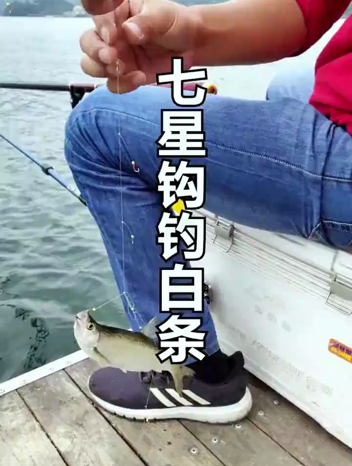 用七星钩拉白条最快速的方法,看一遍就学会,你也是这样钓的吗?