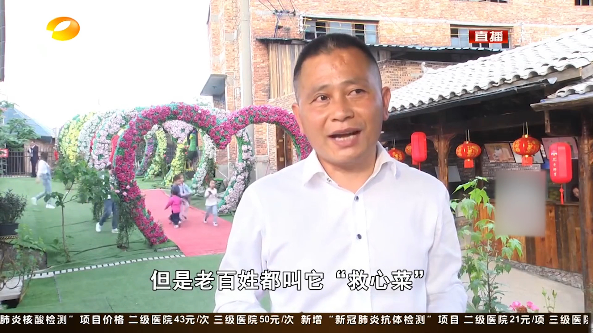 名叫费菜,老百姓却称为救心菜或金不换,这是怎么回事?