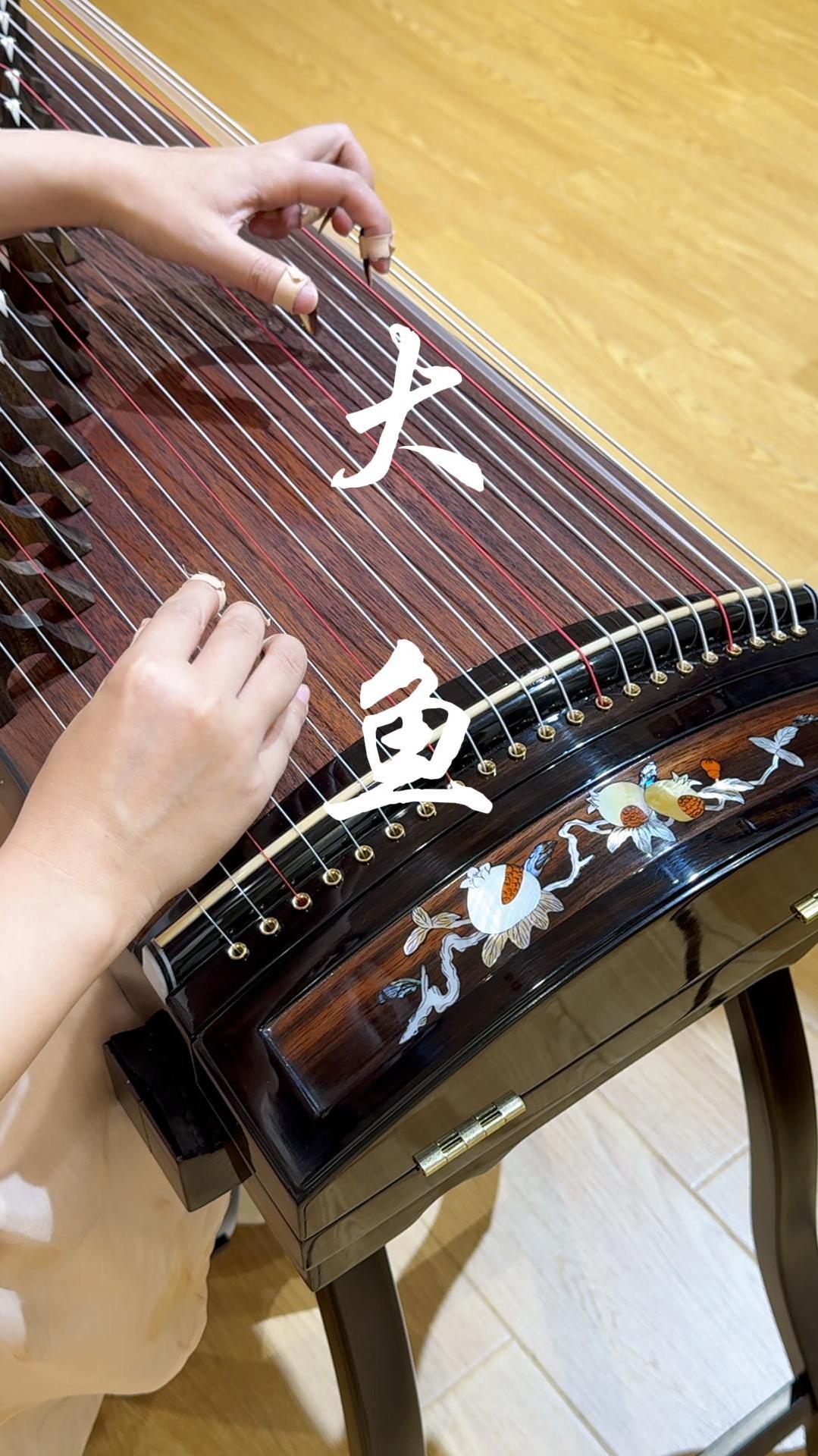 朱雀古筝榴花如丹演奏《大鱼》丨深圳买古筝