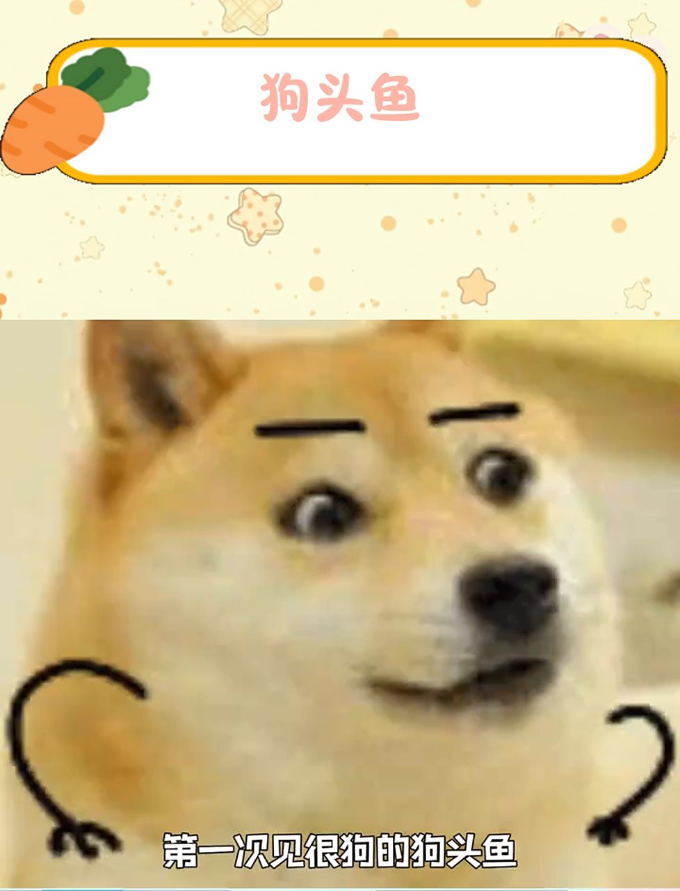 一回头给上面那条鱼吓一激灵,屏幕前的家人们 你们觉得我像狗吗