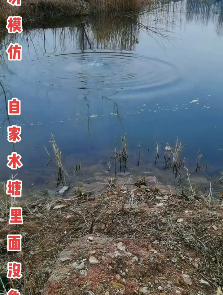 童年回忆放鞭炮小河炸鱼!