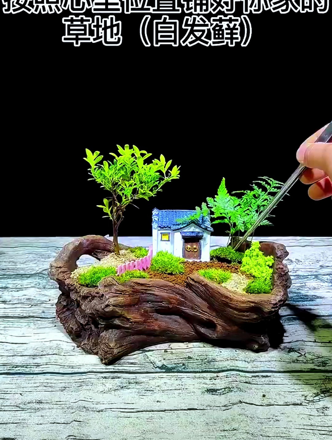 这和你心目中小毛房一样吗?用烂木头轻松制作微景观