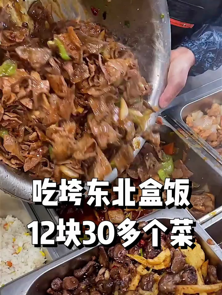 盒饭12块30多个菜!面条豆包随便吃!打工人的食堂!