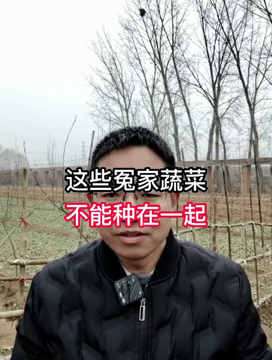 这些冤家蔬菜,不能种在一起