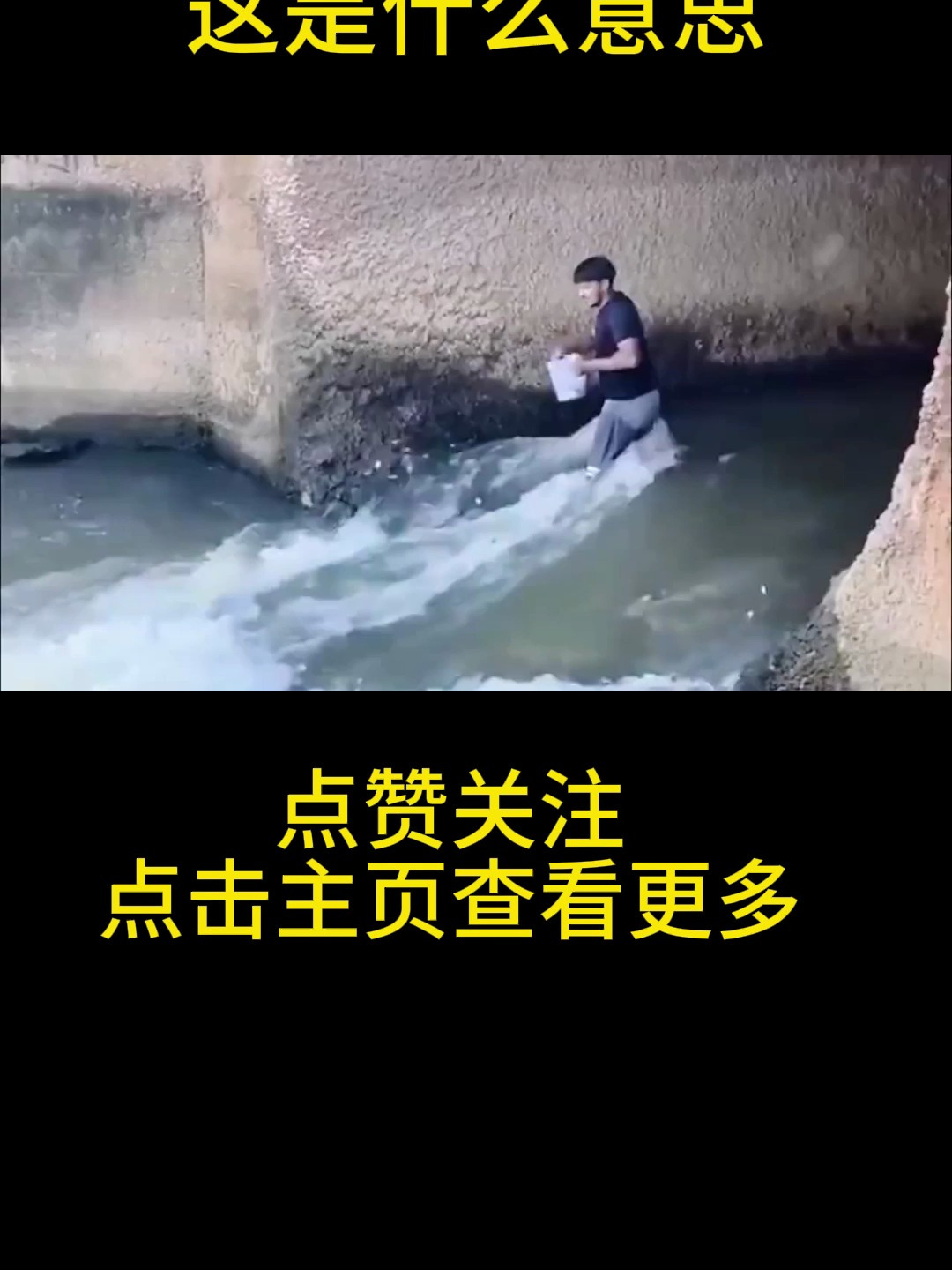 说好出来钓鱼的,这是什么意思