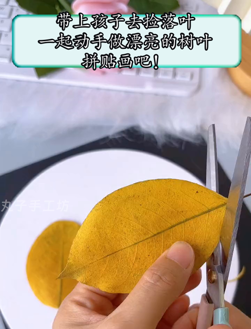 带上孩子去捡落叶,一起动手做漂亮的树叶拼贴画吧!