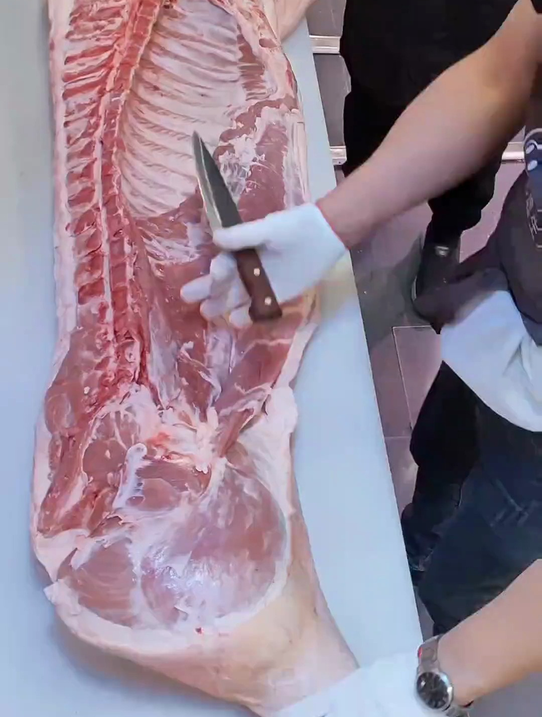猪后腿剔骨分割 猪肉分割技巧