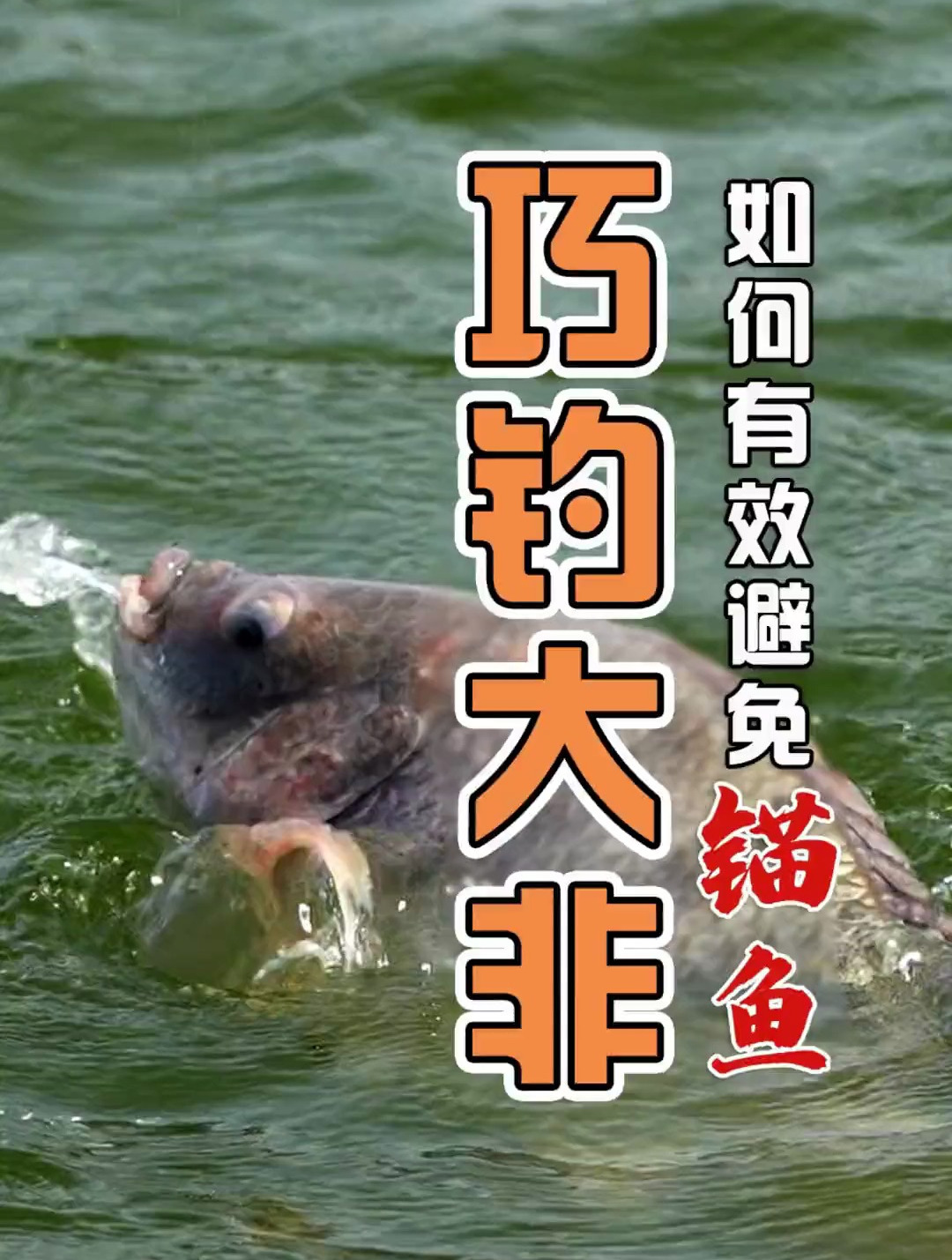 巧钓大非-如何有效减少锚鱼