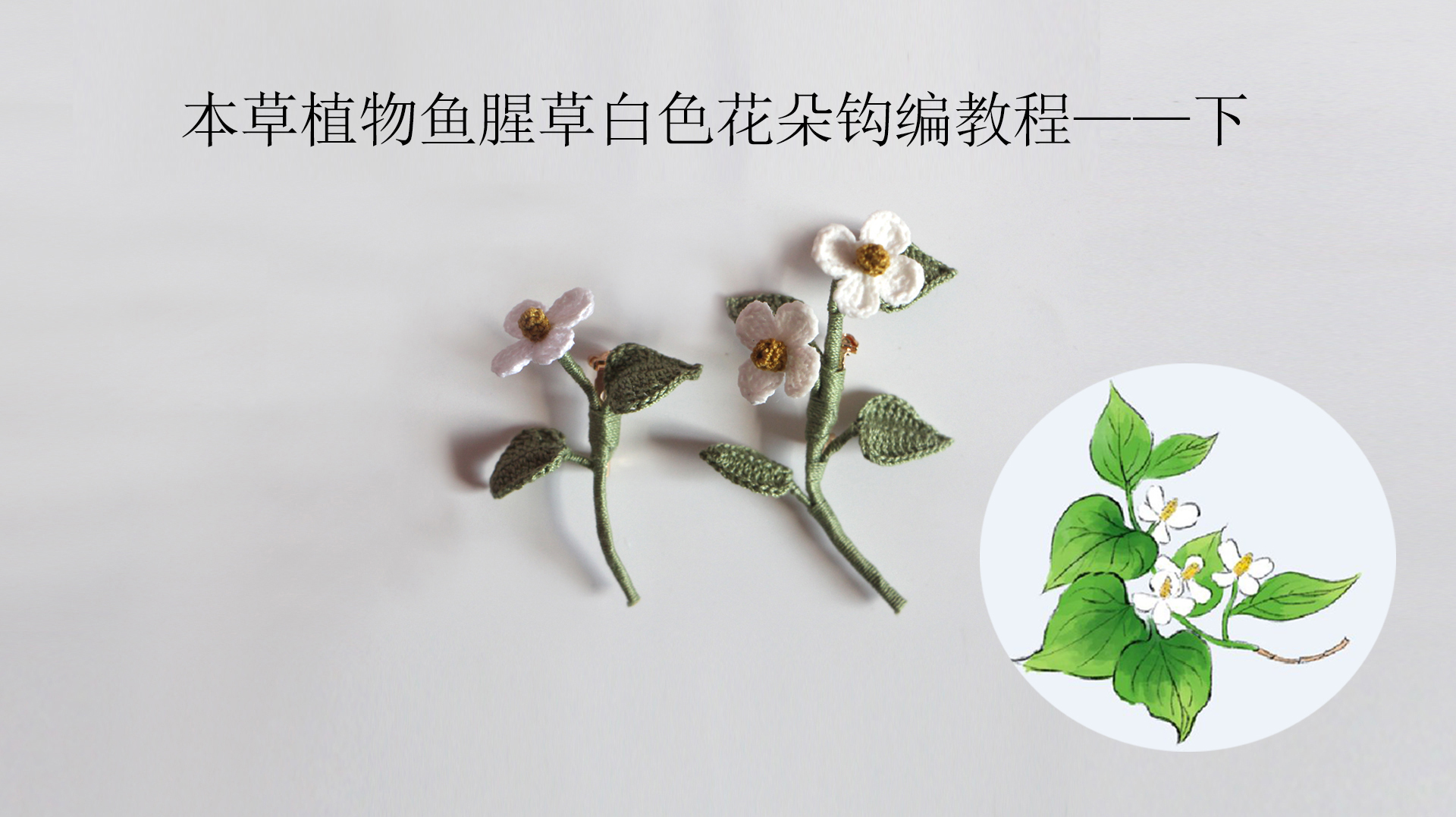 微钩编织本草植物鱼腥草花朵简约好看 针法简单新手易学 下集教程