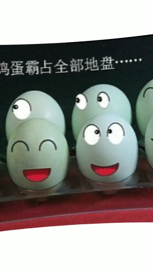 雷山五黑鸡|鸡蛋表情:来一波奇奇怪怪的表情散去闷热的太阳天。