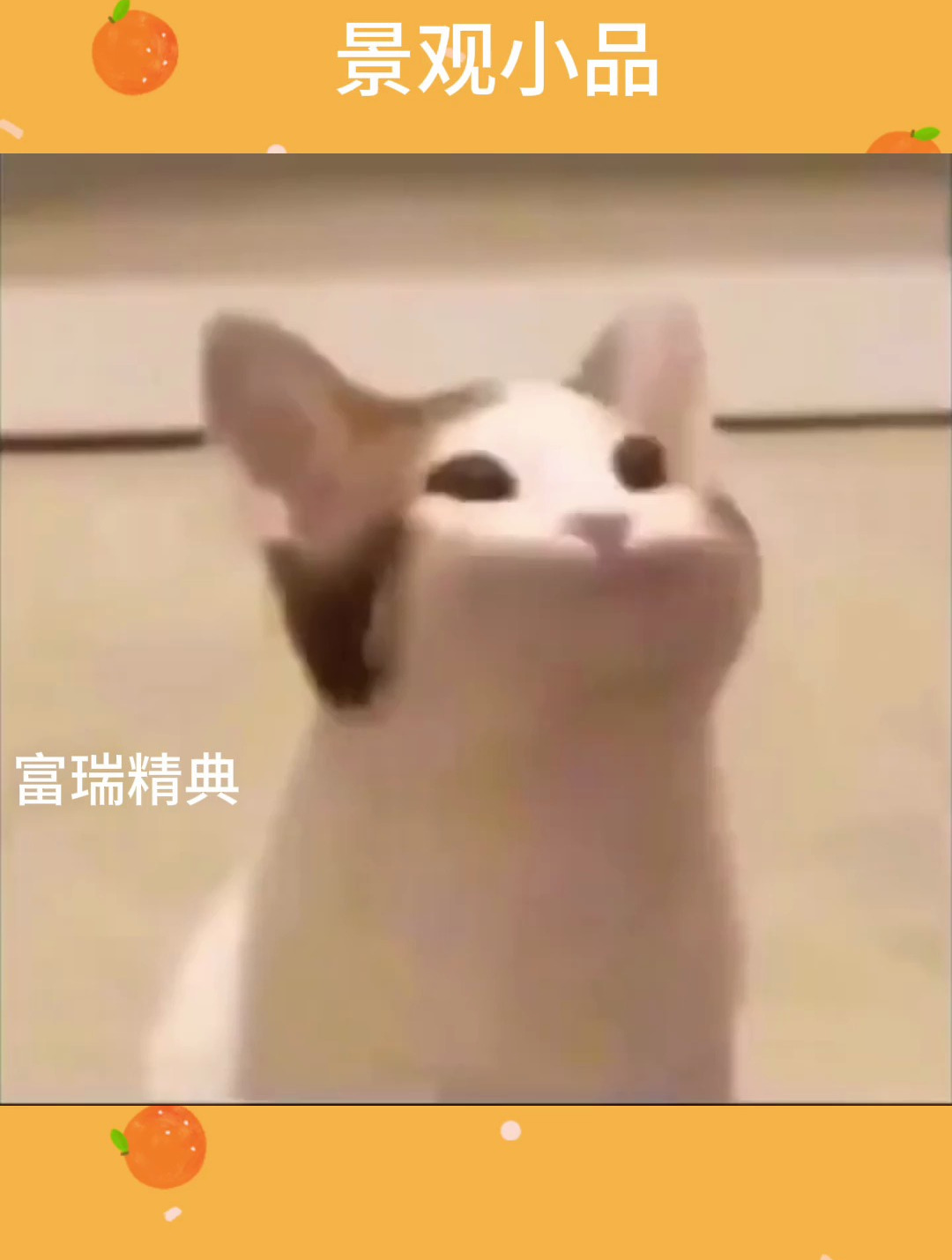 不一样的小品——景观小品