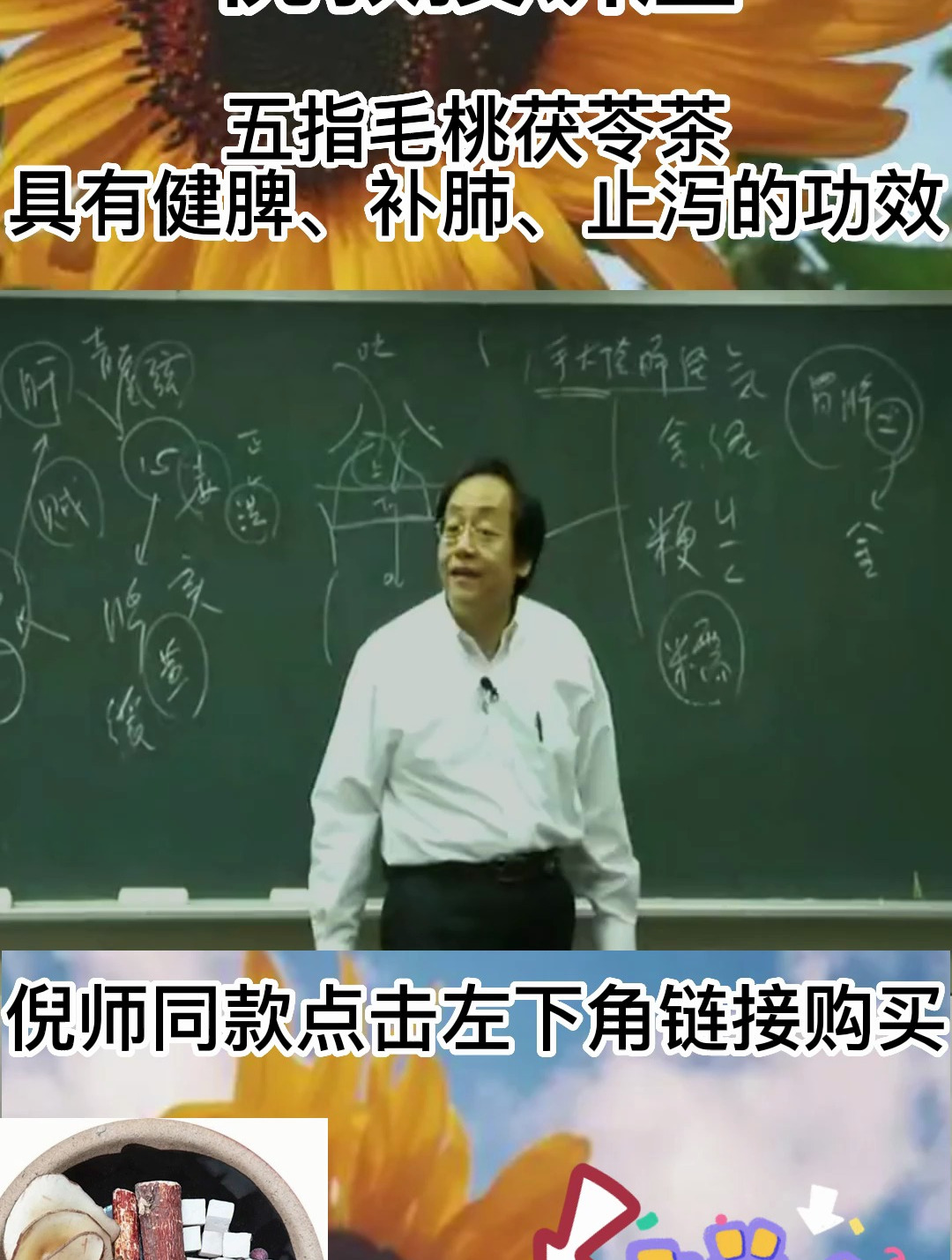 倪老:五指毛桃茯苓茶能消除浮肿止咳,一般用于肺痨、干咳等疾病