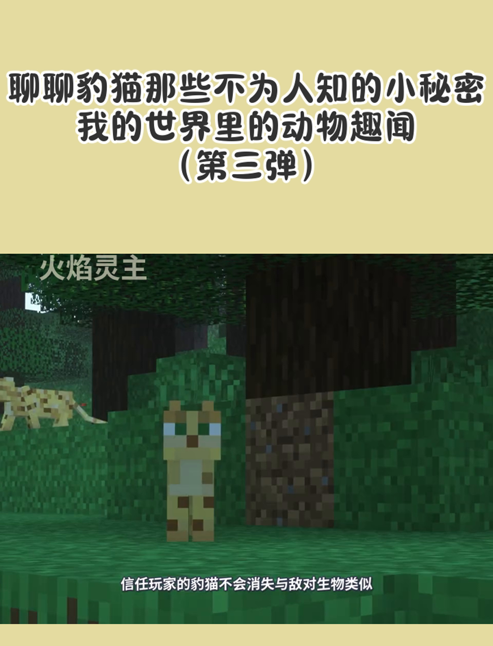 聊聊豹猫那些不为人知的小秘密,我的世界里的动物趣闻(第三弹)