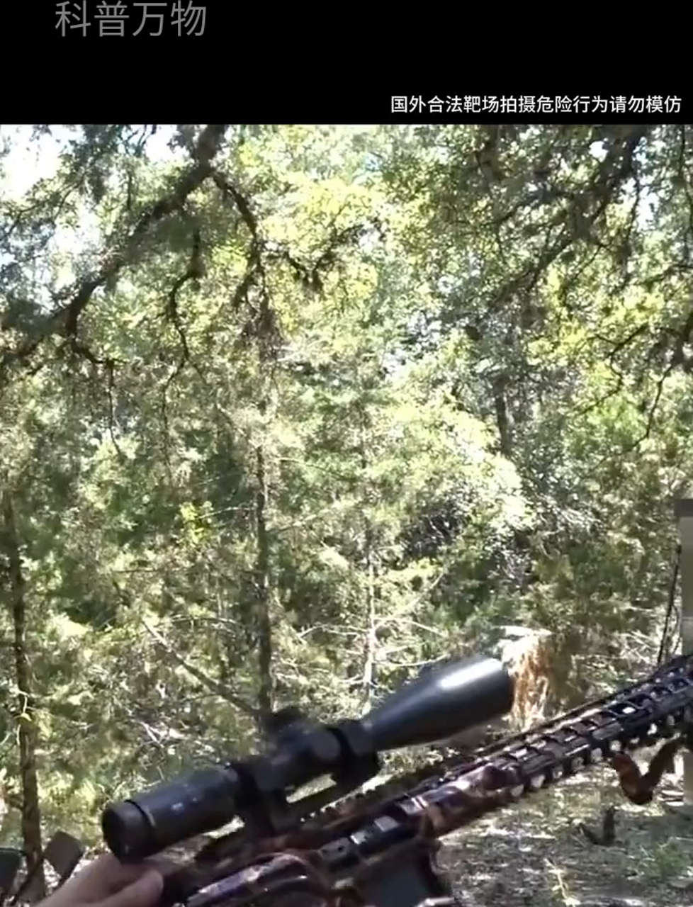 小黄鱼能挡子弹吗?别逗了,这事儿不靠谱!