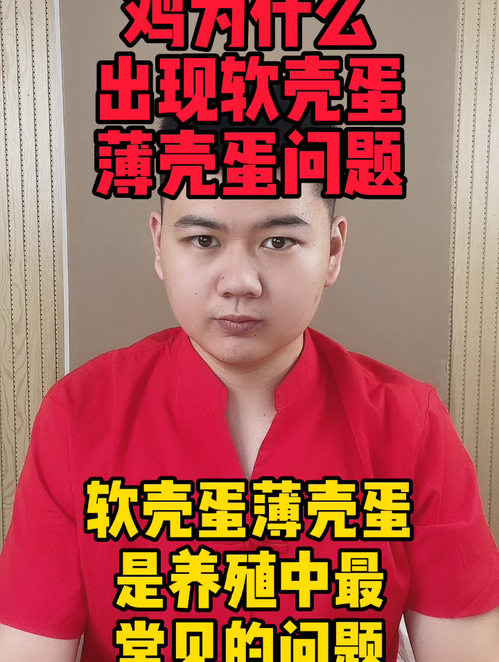 家鸡生软壳蛋是什么原因鸡生软壳蛋是怎么回事应该吃什么