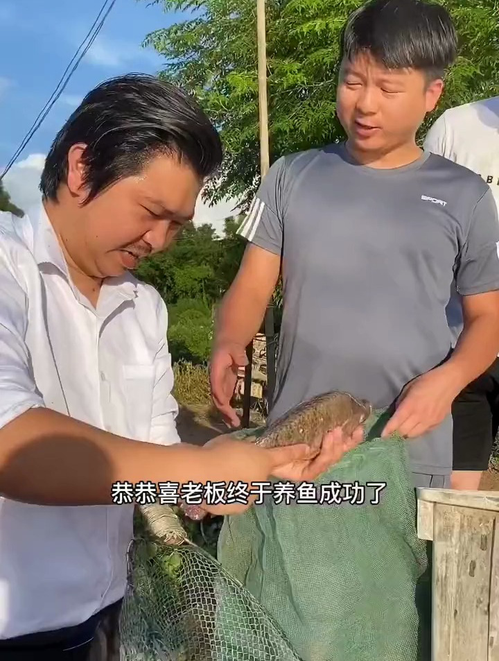 王老板终于养鱼成功了,太开心了