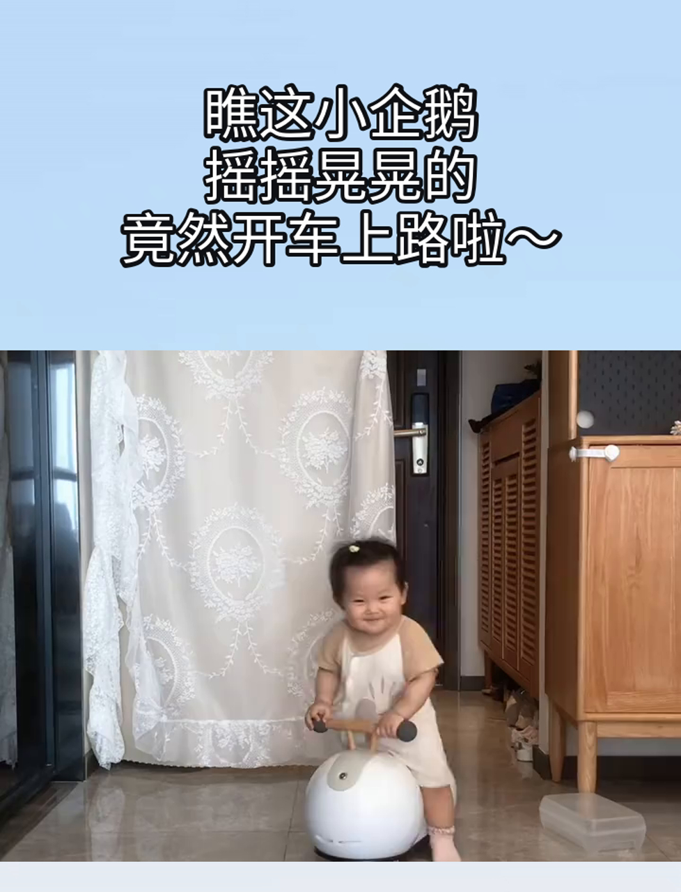 瞧这小企鹅,摇摇晃晃的,竟然开车上路啦～