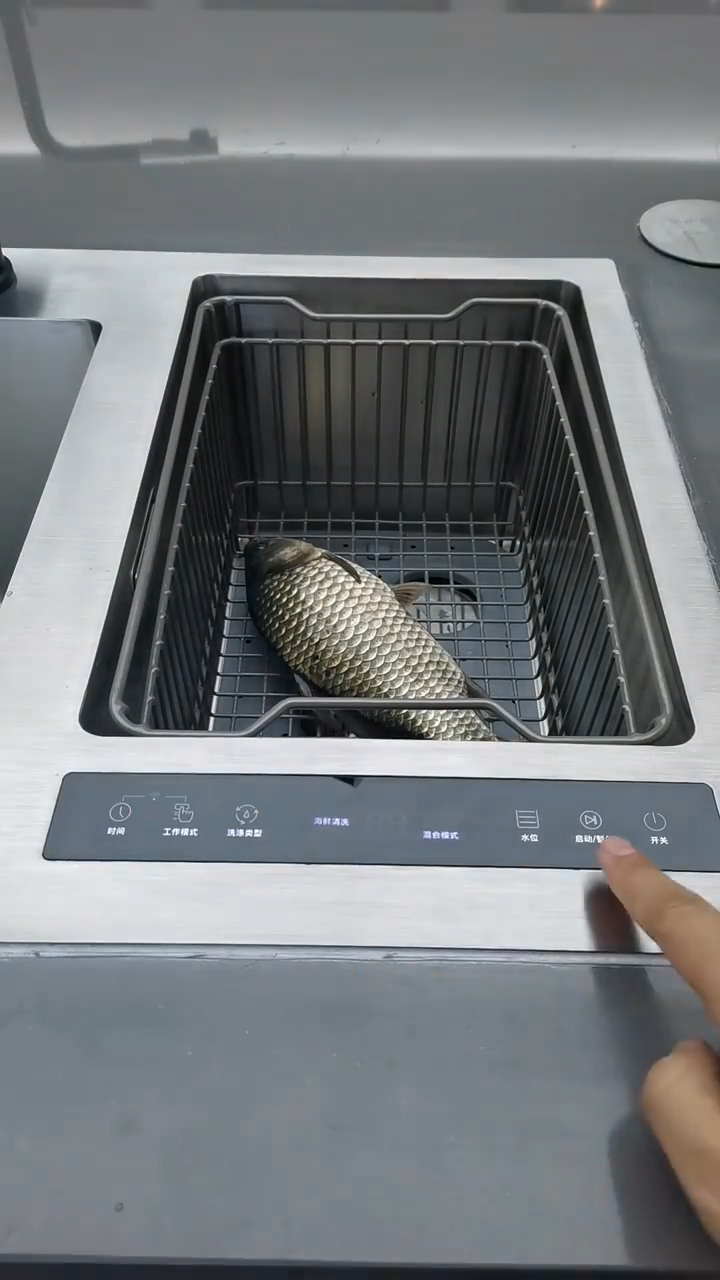 美仕杰超声波水槽清洗鱼