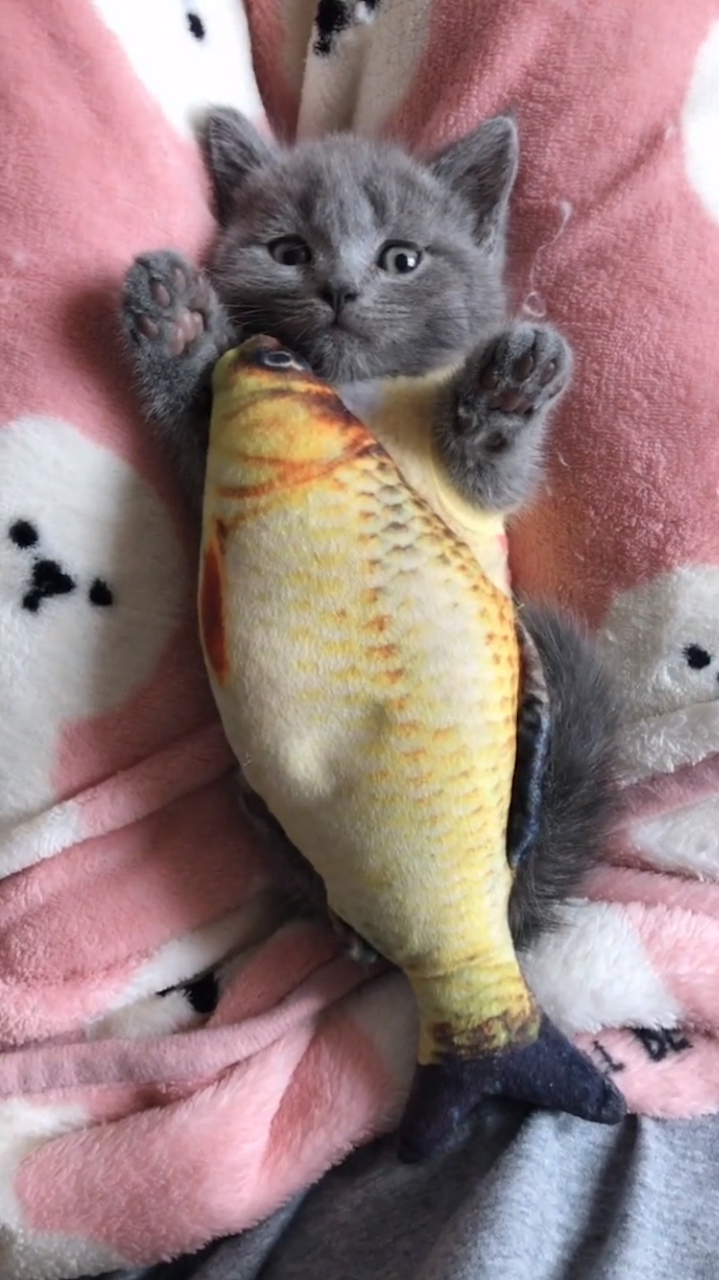 年年有余的抱鱼娃娃