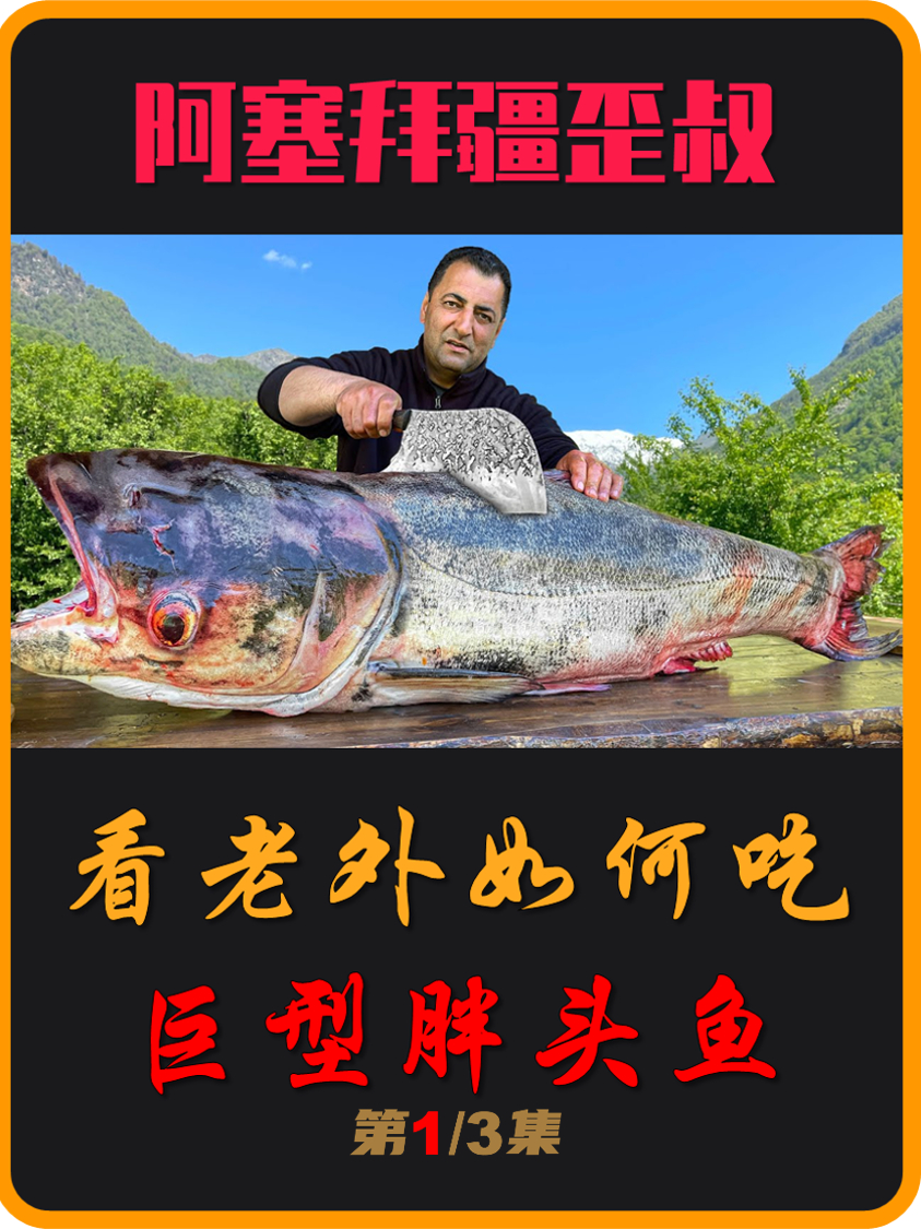 国外胖头鱼泛滥,老外为何不吃,看完也许你应该就能明白了(01)