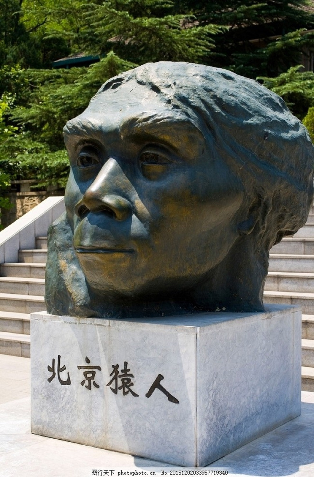 中国境内古人类——北京古猿人