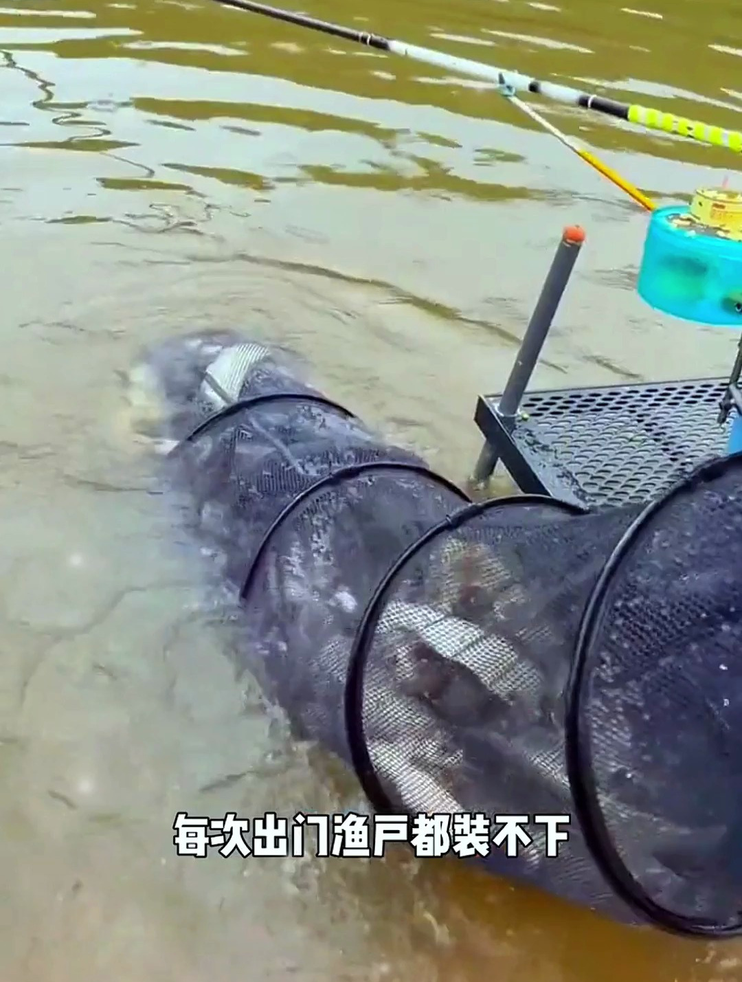 鱼护爆满的诀窍是什么?老钓友:首先这个东西是关键!