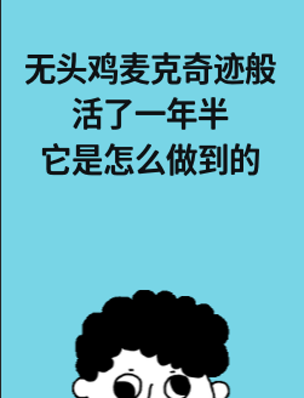 无头鸡麦克奇迹般活了一年半,它是怎么做到的?