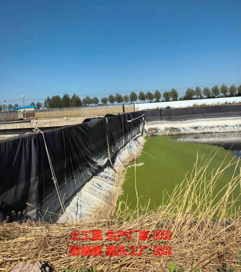 鱼塘防渗膜鱼池防水布黑色地膜加厚抗老化护坡膜防水塑料布土工膜