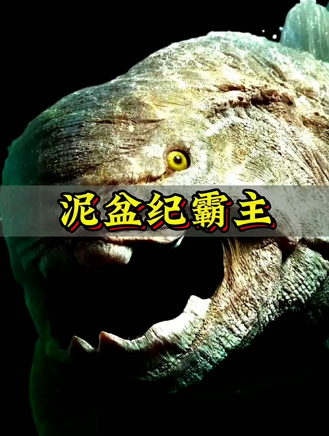 第四集,古生代第四纪!史前巨兽科普 邓氏鱼