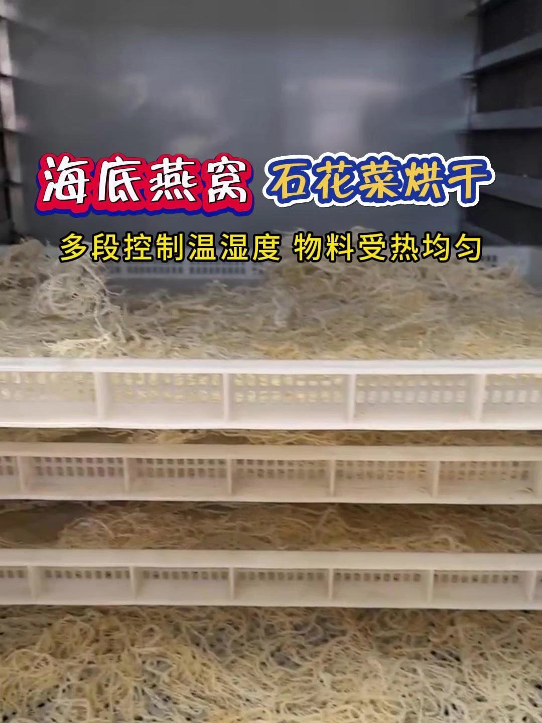 石花菜加工,告别传统晾晒,采用空气能热泵烘干