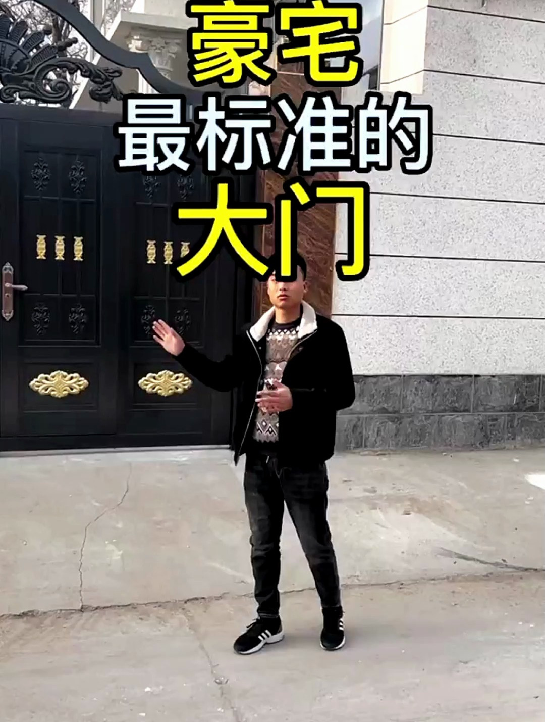 农村自建房铝艺庭院大门