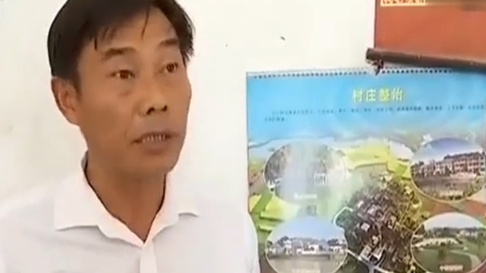 村民养土鸡 刚开始由老母鸡带小鸡死亡率高 学习后成活率有保障