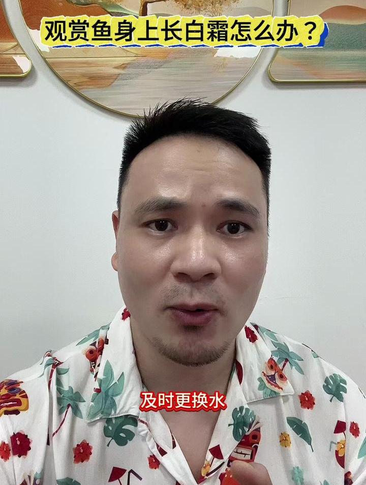 观赏鱼身上长白霜怎么办