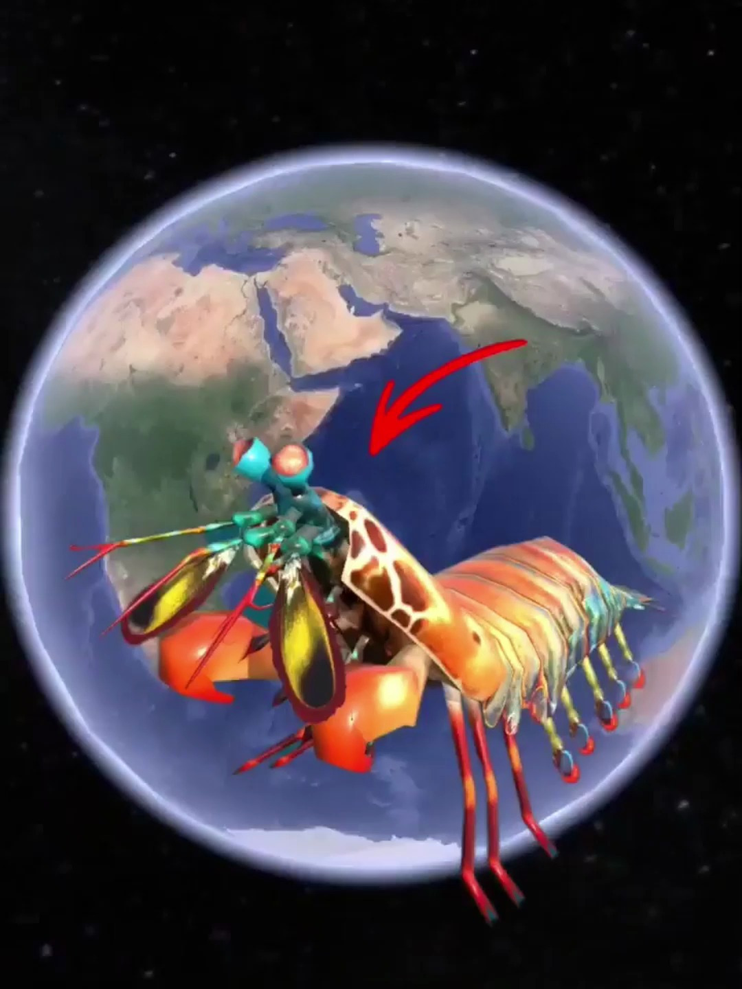 公园里出现了一只大龙虾