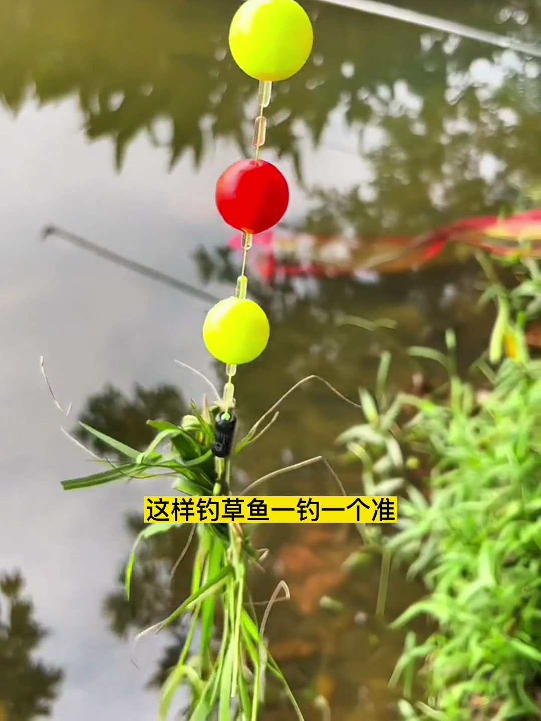 怎样钓草鱼一钓一个准,全新浮钓草鱼线组,关键夜钓也能看清楚