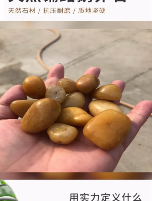 毕节鹅卵石单切片 园林景观路面铺设用鹅卵石