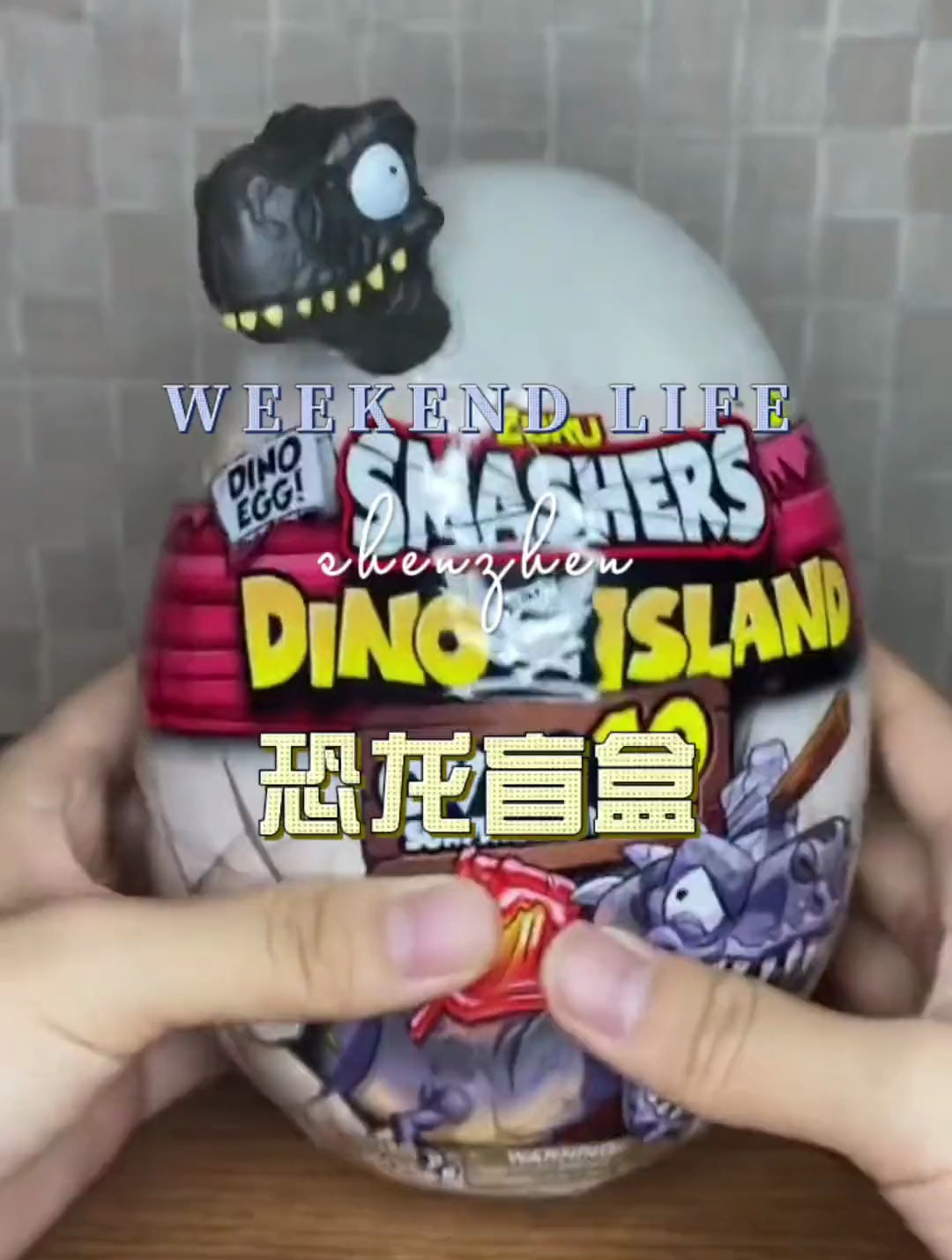 来继续开恐龙盲盒!